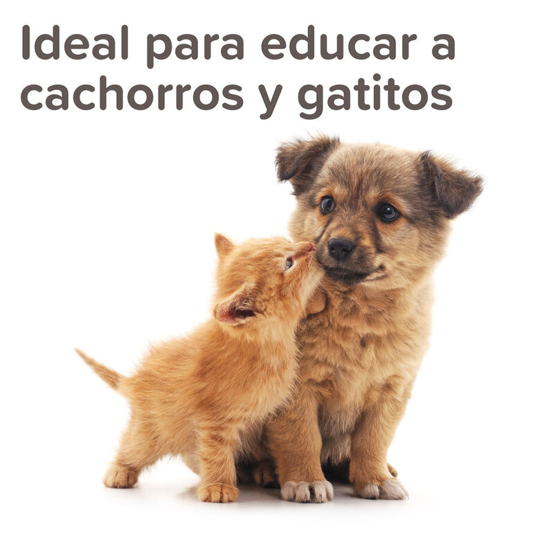 Beaphar Gel Educador para Exterior para perros y gatos, , large image number null